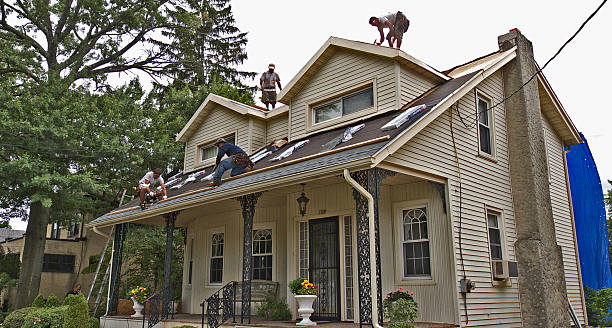 Best Roof Repair Services  in Mayodan, NC